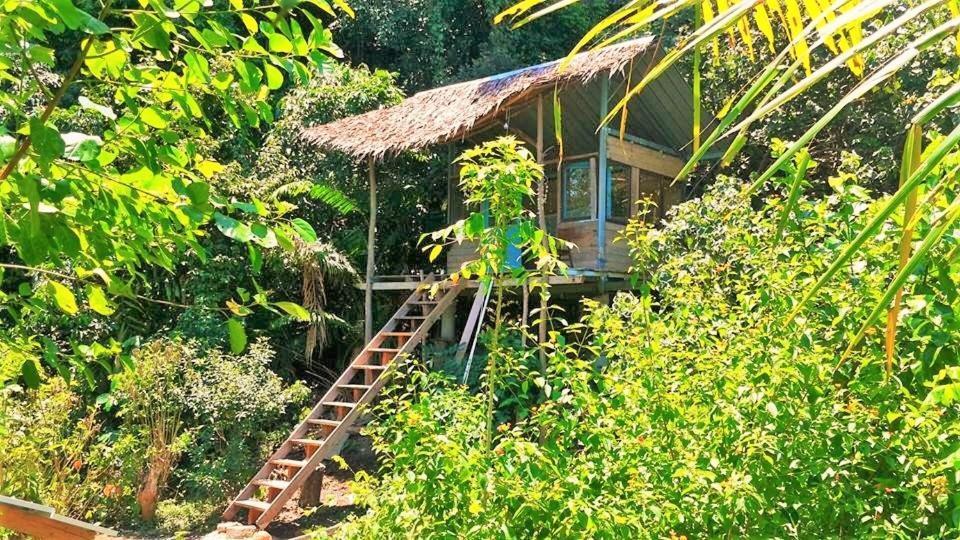 Homestay Sumatra Sungaipisang