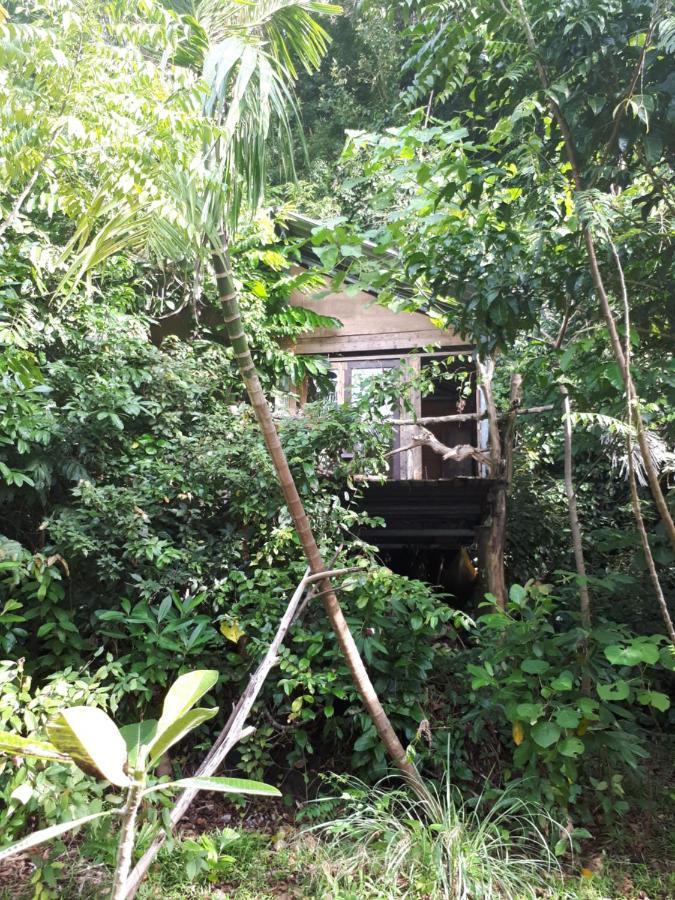 Homestay Sumatra